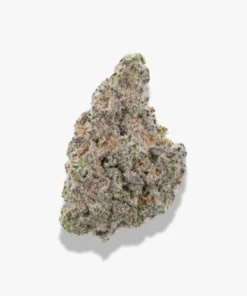 BABY J'S WATERMELON ZKITTLES