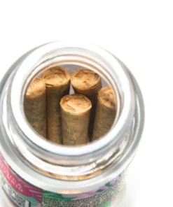 BABY J'S WATERMELON ZKITTLES